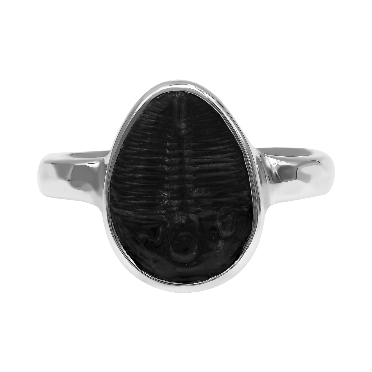 Starborn Fossilized Trilobite Ring (14–16 mm) in Sterling Silver