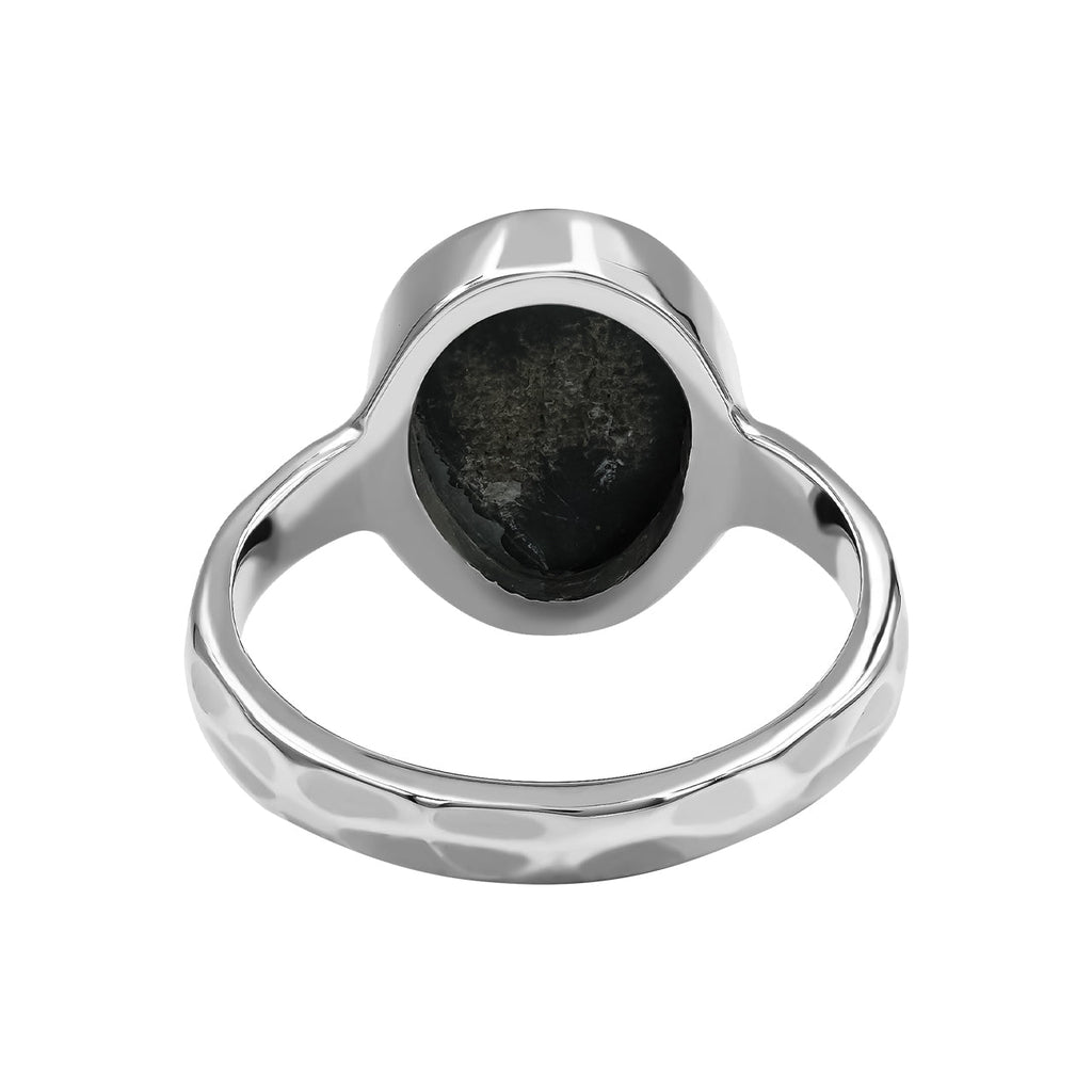 Starborn Fossilized Trilobite Ring (14–16 mm) in Sterling Silver