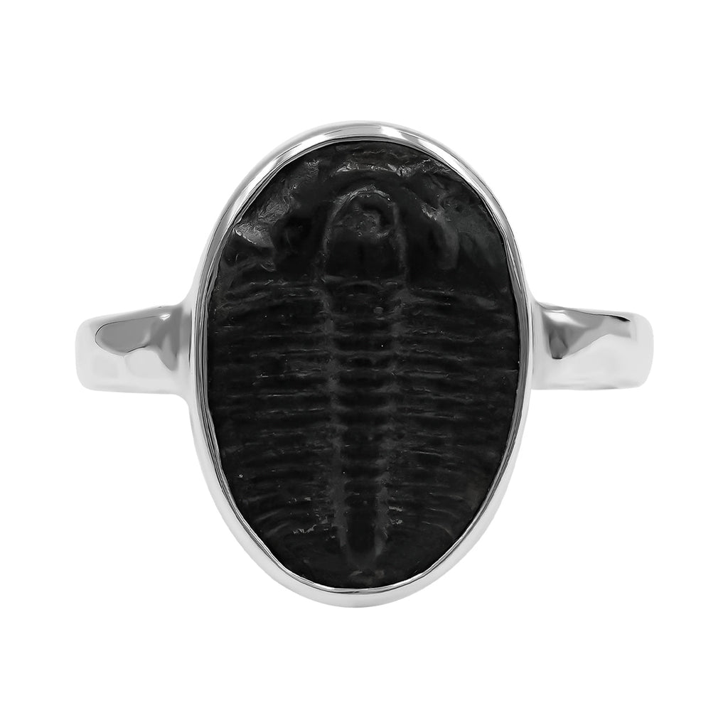 Starborn Fossilized Trilobite Ring (17–19 mm) in Sterling Silver