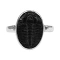 Starborn Fossilized Trilobite Ring (17–19 mm) in Sterling Silver