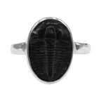 Starborn Fossilized Trilobite Ring (17–19 mm) in Sterling Silver