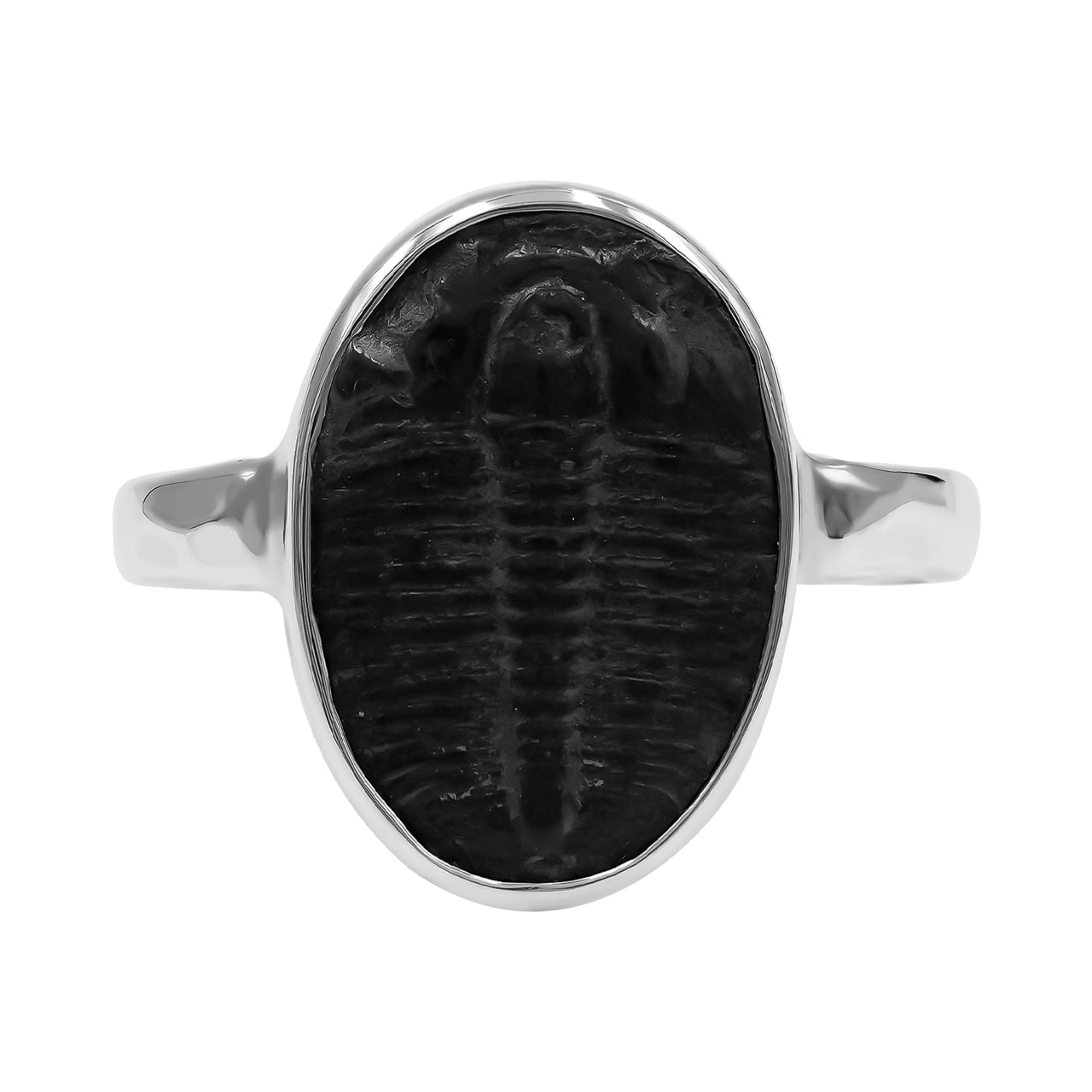 Starborn Fossilized Trilobite Ring (17–19 mm) in Sterling Silver