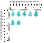 Starborn North American Natural Turquoise Pear Cabochon - 1 piece