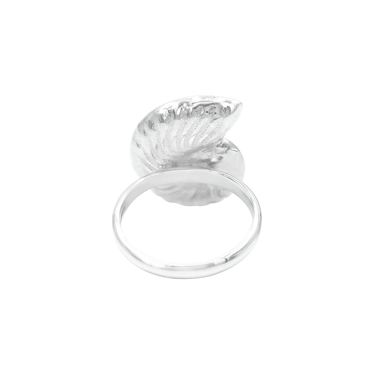 Starborn Turquoise Inlay Nautilus Ring in Sterling Silver