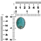 Starborn Persian Turquoise Striped bezel Ring in Sterling Silver