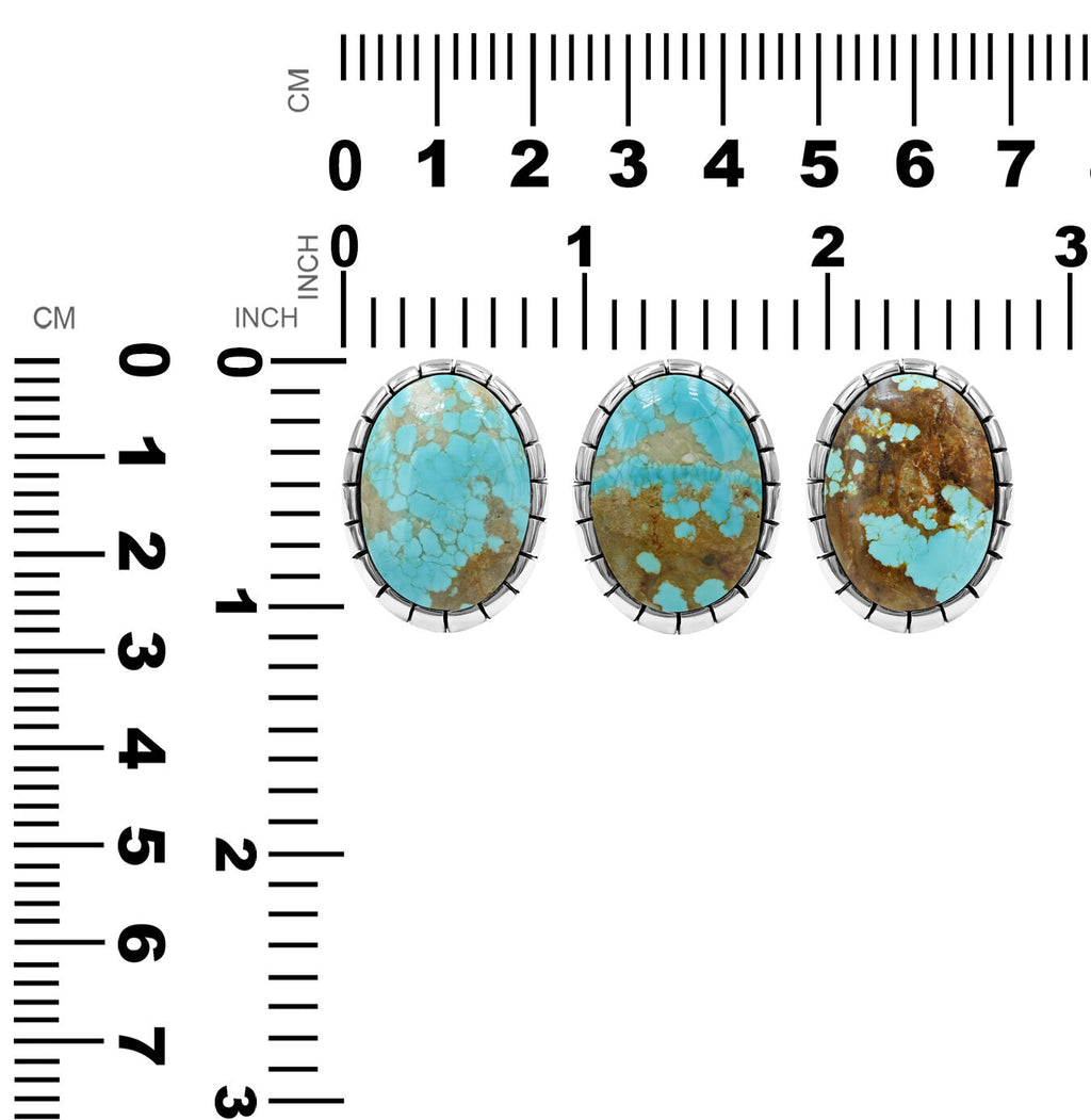 Starborn Nevada #8 Turquoise Striped Bezel Ring in Sterling Silver
