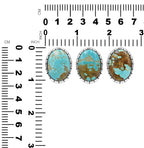 Starborn Nevada #8 Turquoise Striped Bezel Ring in Sterling Silver