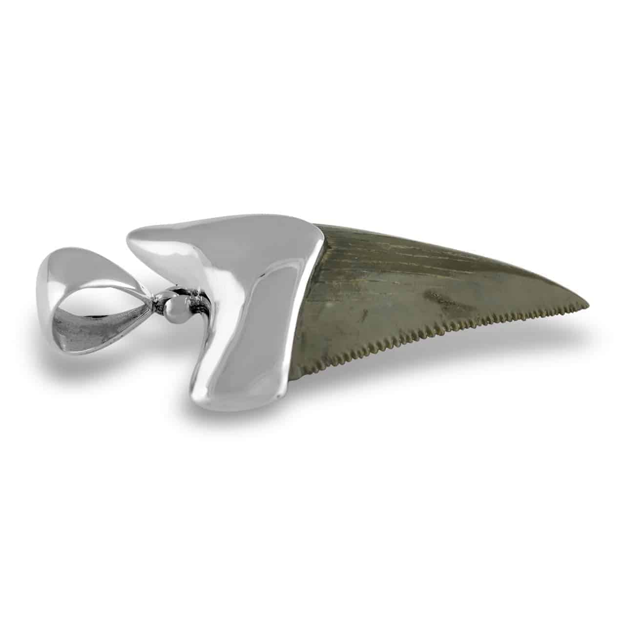 Starborn Fossilized Great White Shark Tooth Cap Set Pendant in Sterling Silver