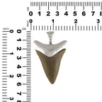 Starborn Fossilized Great White Shark Tooth Cap Set Pendant in Sterling Silver
