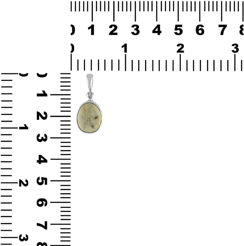 Starborn Fossilized Sea Urchin Pendant in Sterling Silver