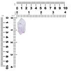 Starborn Vera Cruz Amethyst Crystal Collector's Corner Specimen 60ct - 1 Piece