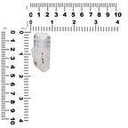 Starborn Danburite Crystal Collector's Corner Specimen 111 cts - 1 Piece