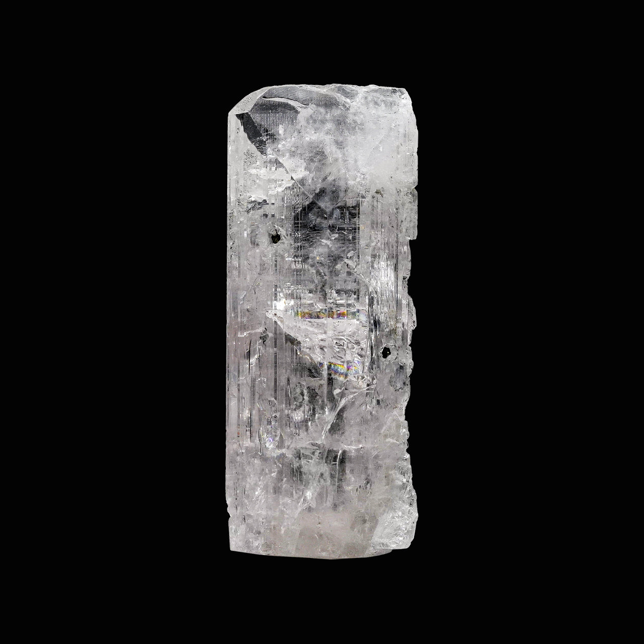 Starborn Natural Danburite Crystal Collector's Corner Specimen 242.5ct - 1 Piece