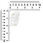 Starborn Faden Quartz Collector's Corner Specimen 143.5 cts - 1 Piece
