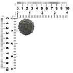 Starborn Fossil Sea Urchin 175cts - 1 Piece