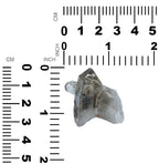 Starborn Natural Rutilated Quartz Collector's Corner Specimen 96.2ct - 1 Piece