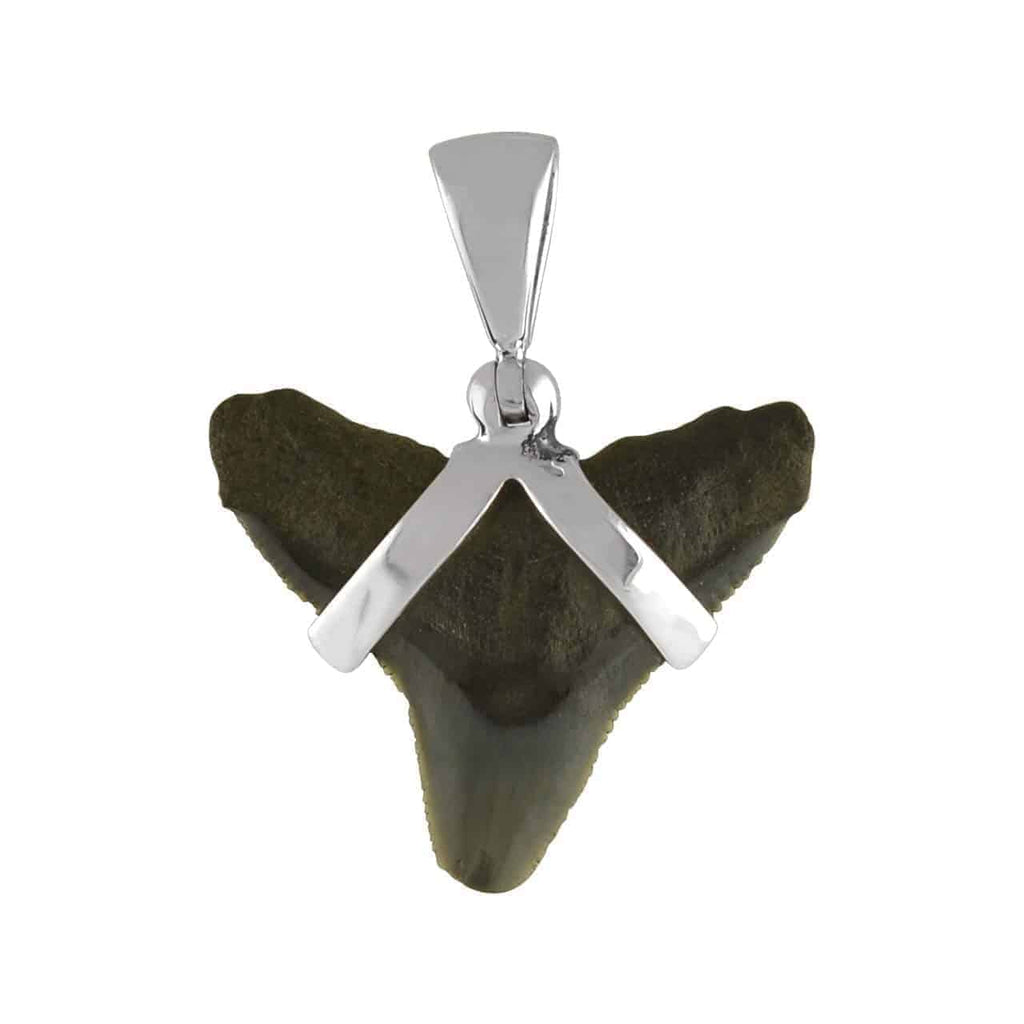 Starborn Dark Fossil Shark Tooth Pendant in Sterling Silver