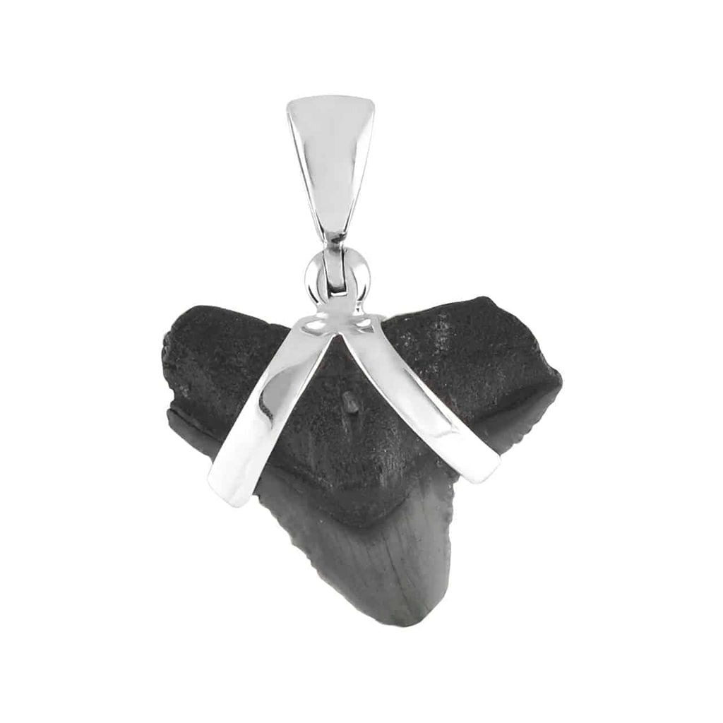 Starborn Dark Fossil Shark Tooth Pendant in Sterling Silver