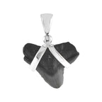 Starborn Dark Fossil Shark Tooth Pendant in Sterling Silver