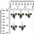 Starborn Dark Fossil Shark Tooth Pendant in Sterling Silver