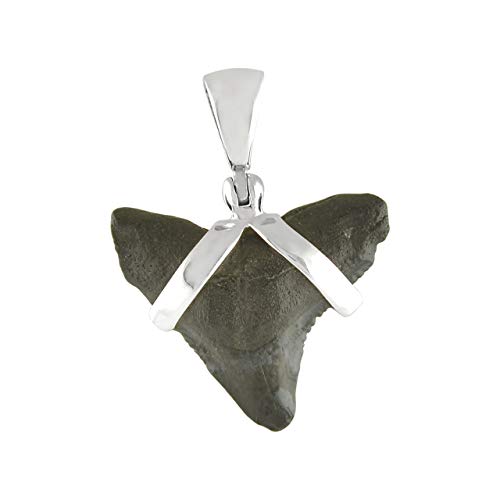 Starborn Dark Fossil Shark Tooth Pendant in Sterling Silver