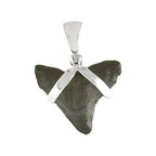 Starborn Dark Fossil Shark Tooth Pendant in Sterling Silver
