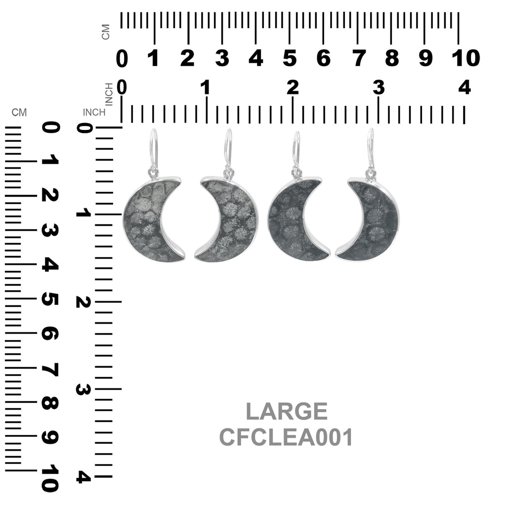 Starborn Fossil Coral Crescent Moon Earrings in Sterling Silver