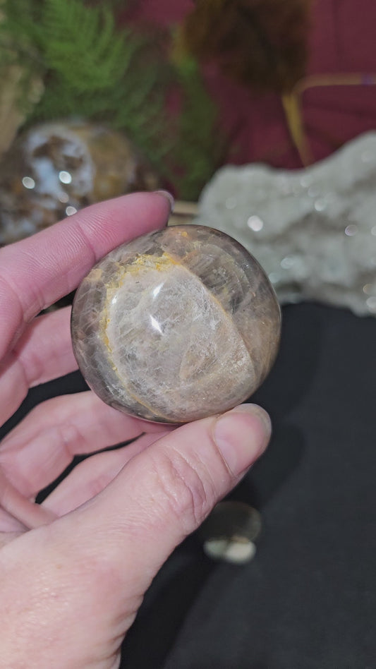 Black Moonstone Palm Stone