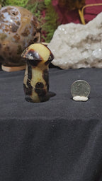 Septarian Mushroom