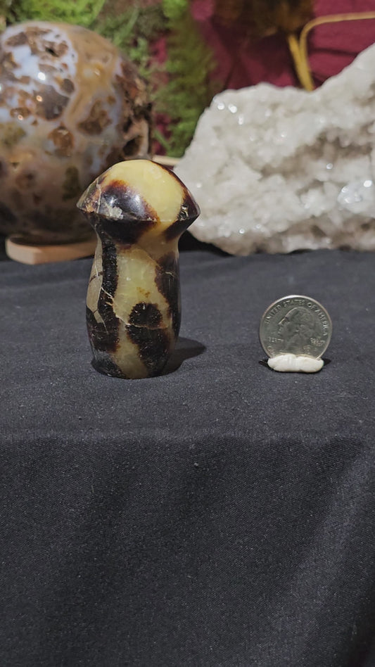 Septarian Mushroom