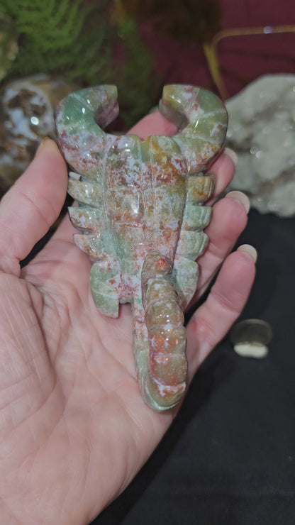 Ocean Jasper Scorpion 🦂
