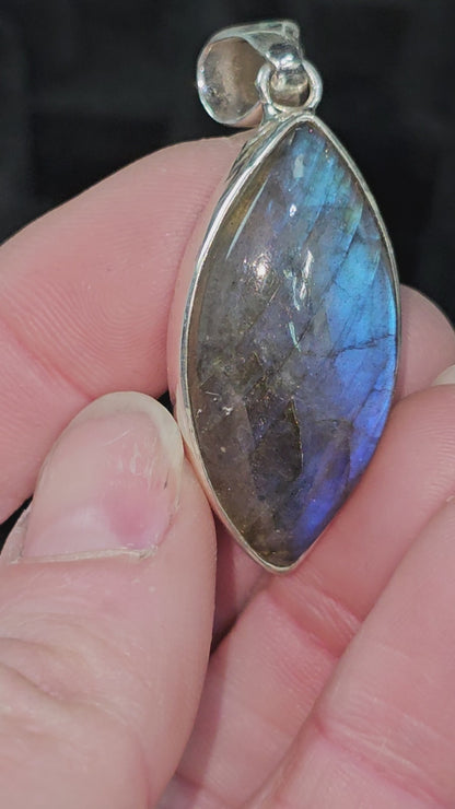 Holy sheeeet. Look at this Lab pendant.