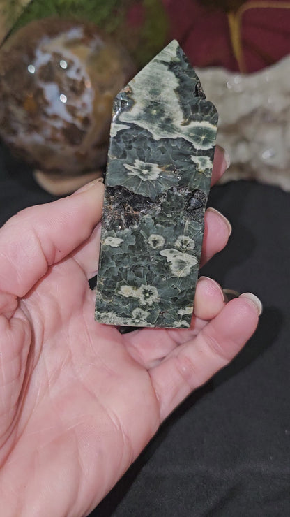 Stunning, Druzy Ocean Jasper Point