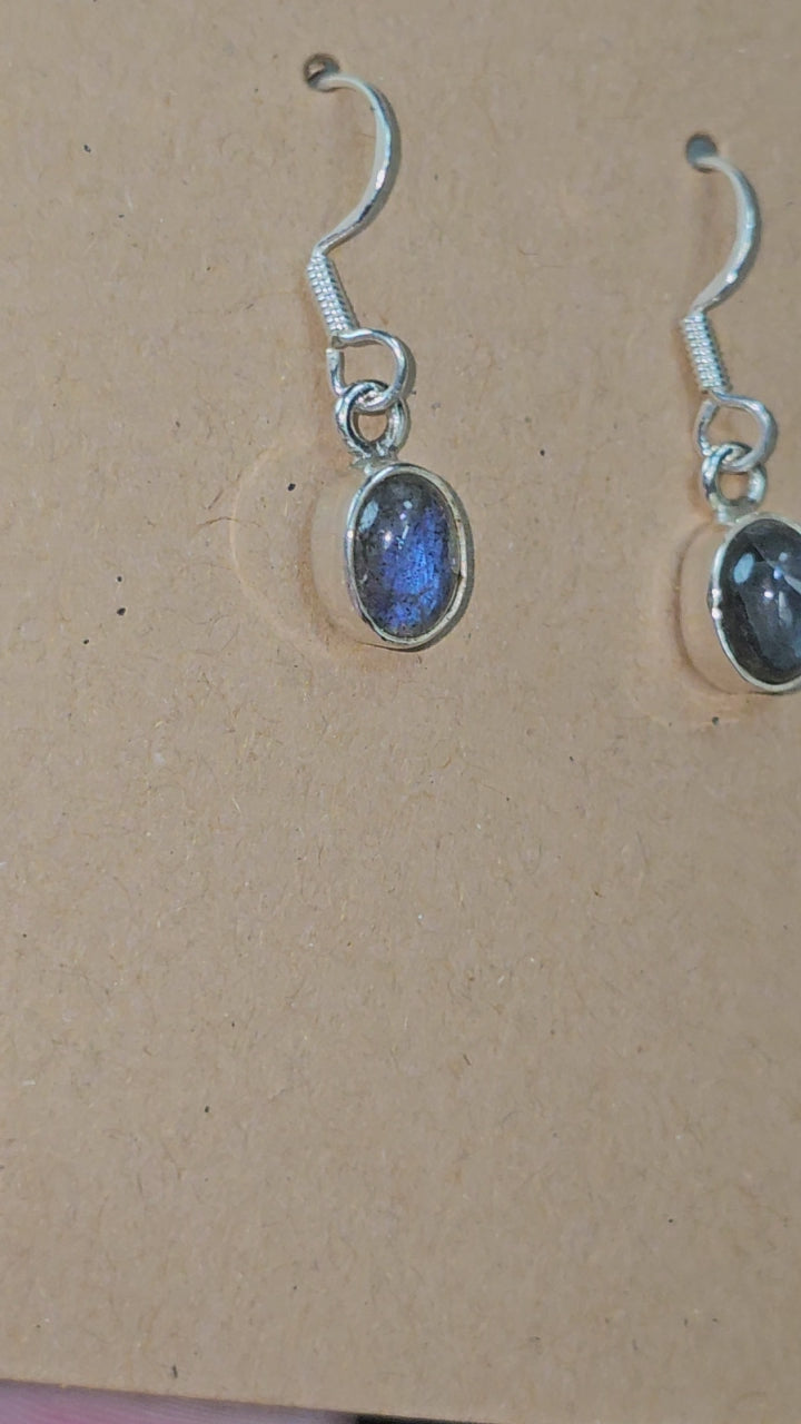 Flashy Lab Earnings. Sterling Silver.925