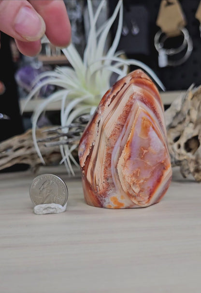 Carnelian 🔥