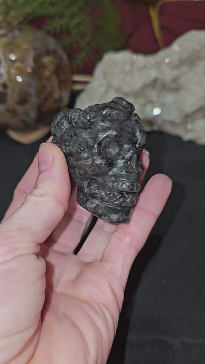 Double Snake Skull in Larvakite