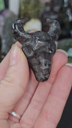 Larvakite Cow Skull