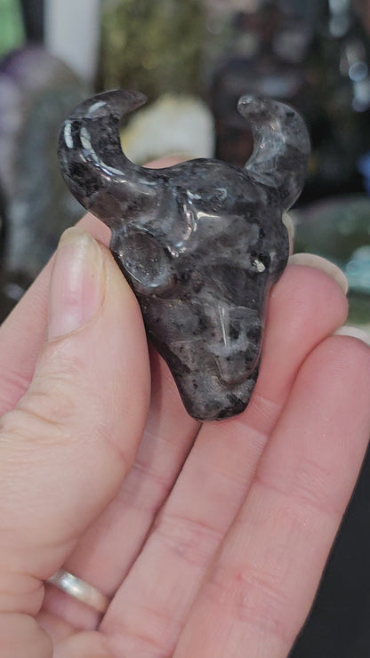Larvakite Cow Skull