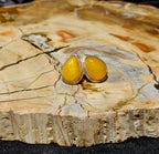 Royal Baltic Amber Teardrop Stud Earrings Sterling Silver (.925)